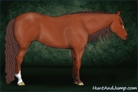 Horse Color:Chocolate Bay Roan 