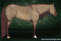 Horse Color:Chocolate Brown Dun Sabino 