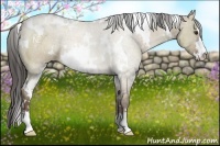 Horse Color:White Spotted Liver Red Dun Sabino 