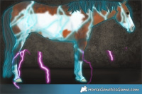 Horse Color:Thunderstruck Bay Frame 