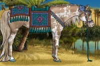 Horse Color:White Spotted Liver Chestnut Pearl and Liver Chestnut Pearl Sabino