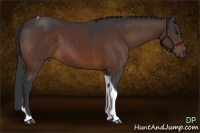 Horse Color:Bay Tobiano Rabicano