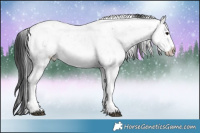 Horse Color:Brown Ice Sabino Rabicano 