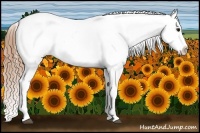 Horse Color:White Spotted Buckskin Tobiano Appaloosa 