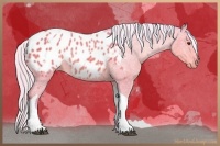 Horse Color:Watercolor Silver Brown Sabino Tobiano Blanket 