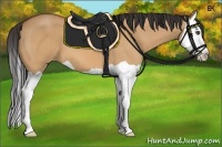 Horse Color:Bay Dun Splash 