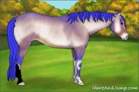 Horse Color:Watercolor Bay Onyx Rabicano 