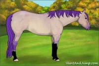 Horse Color:Watercolor Bay Roan Dun 