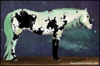 Horse Color:Watercolor White Spotted Bay Onyx Appaloosa
