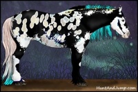 Horse Color:Watercolor Chocolate Palomino Onyx Appaloosa Rabicano 