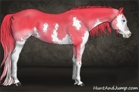 Horse Color:Watercolor Liver Chestnut Splash 