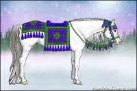 Horse Color:Black Snowcap Rabicano
