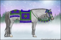 Horse Color:Black Appaloosa Rabicano