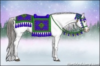 Horse Color:Black Appaloosa Rabicano 