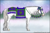 Horse Color:Silver Black Appaloosa 