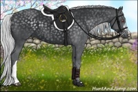 Horse Color:Silver Black Chinchilla 