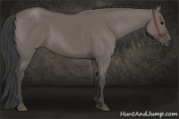 Horse Color:Smoky Grullo