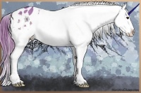Horse Color:Watercolor Bay Dun Snowflake Varnish 