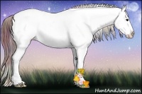 Horse Color:Nacre White Spotted Bay Ice Sabino Frame Appaloosa Rabicano