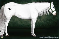 Horse Color:Brown Splash Snowcap 