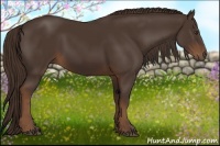 Horse Color:Liver Chestnut Rabicano 