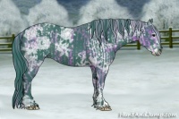 Horse Color:Watercolor Silver Black Ice Sabino  and Watercolor Black Ice Sabino Rabicano 