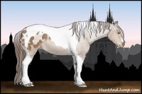 Horse Color:Sable Champagne Tobiano Blanket 