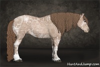 Horse Color:Black Ice Pearl Sabino Rabicano