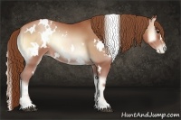 Horse Color:White Spotted Brown Pearl Onyx Rabicano