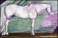 Horse Color:Watercolor White Spotted Bay Pearl Onyx Rabicano  and Watercolor White Spotted Silver Bay Pearl Onyx Rabicano 