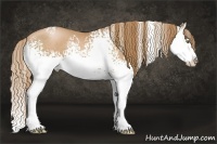 Horse Color:White Spotted Chestnut Pearl Sabino Splash 