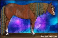 Horse Color:Painted Liver Chestnut Sabino Rabicano and Painted Bay Sabino Rabicano