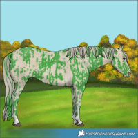 Horse Color:Watercolor Black and Watercolor Perlino Dun