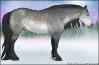 Horse Color:Brown Chinchilla
