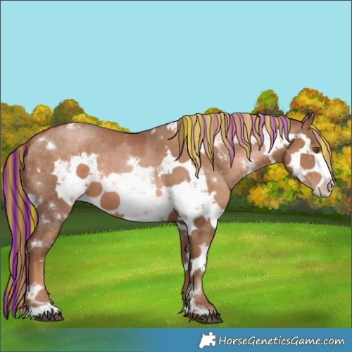 Horse Color:Painted White Spotted Brown Pearl Sabino Rabicano  and Painted White Spotted Liver Chestnut Pearl Sabino Rabicano 