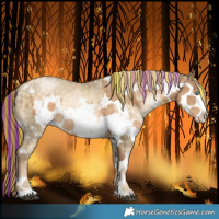 Horse Color:Painted White Spotted Brown Snowdrop Pearl Sabino Rabicano  and Painted White Spotted Liver Chestnut Snowdrop Pearl Sabino Rabicano 