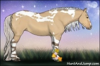 Horse Color:Silver Buckskin Dun Sabino Tobiano 