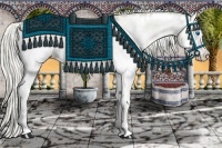 Horse Color:White Spotted Chocolate Palomino Pearl Dun Splash Brindle and White Spotted Chocolate Palomino Pearl Splash