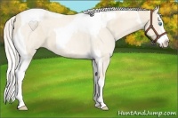 Horse Color:Cremello Roan Splash  and Cremello Splash Tobiano 
