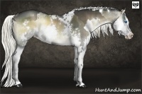 Horse Color:White Spotted Liver Red Onyx Sabino Splash Rabicano Brindle  and White Spotted Liver Red Onyx Sabino Splash Rabicano Brindle 