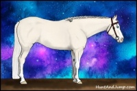 Horse Color:Cremello Splash  and Cremello Splash Rabicano 