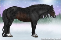 Horse Color:Brown Ice Sabino 