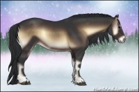 Horse Color:Brown Onyx 