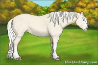 Horse Color:Cremello Splash  and Cremello Splash 