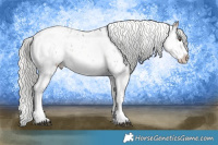 Horse Color:Liver Chestnut Mushroom Sabino Rabicano and Gold Champagne Dun Mushroom Sabino Rabicano Brindle