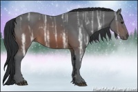 Horse Color:Brown Ice Sabino