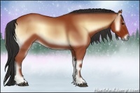 Horse Color:Bay Onyx 