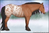 Horse Color:Bay Ice Rabicano 