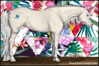 Horse Color:Cremello Splash  and Cremello Splash 