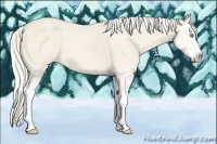 Horse Color:Cremello Splash  and Cremello Splash 